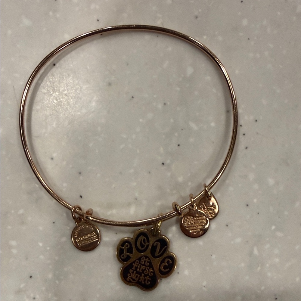 Alex and Ani Rose Gold Charm Bracelet with Black Paw